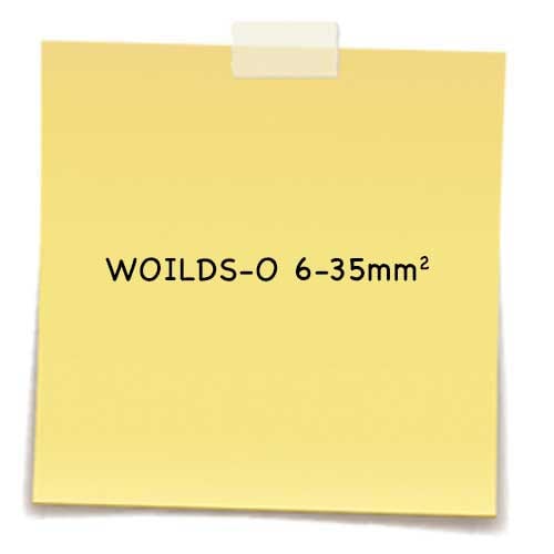 WOILDS-O-6-35- 